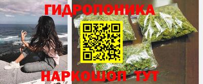 бошки Жуковский