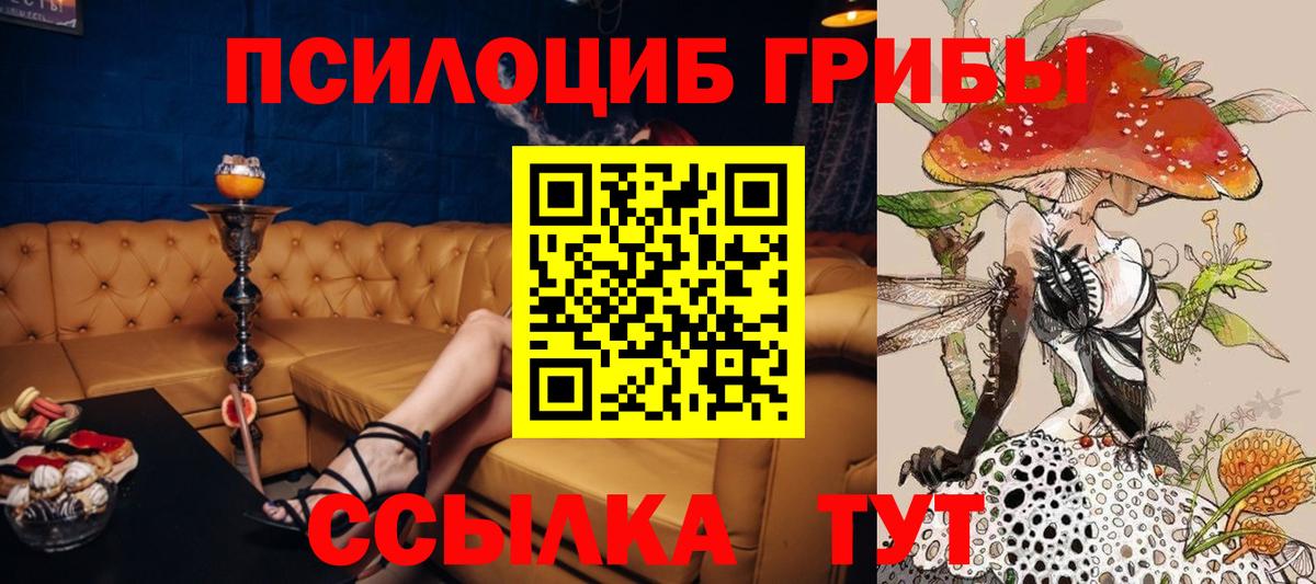Псилоцибиновые грибы GOLDEN TEACHER  Вход с VPN  Киреевск 
